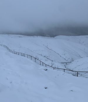 Snow fence